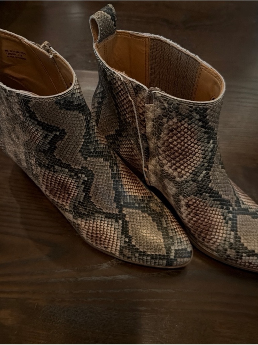 Frye &Co Women's Jacy Snake-Print Ankle Chelsea Booties - Neutral